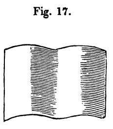 [Illustration: Fig. 17.]
